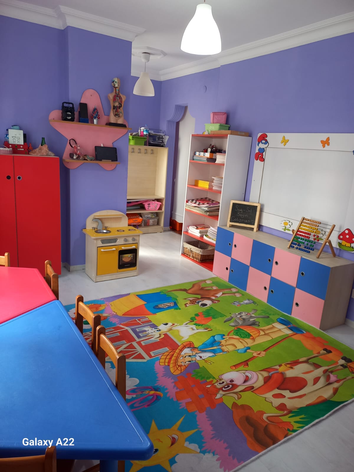 Özgür Yunuslar Anaokulu
